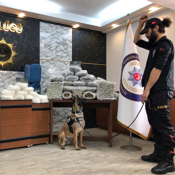 Uyuşturucu ticareti yapan şüpheliler tutuklandı