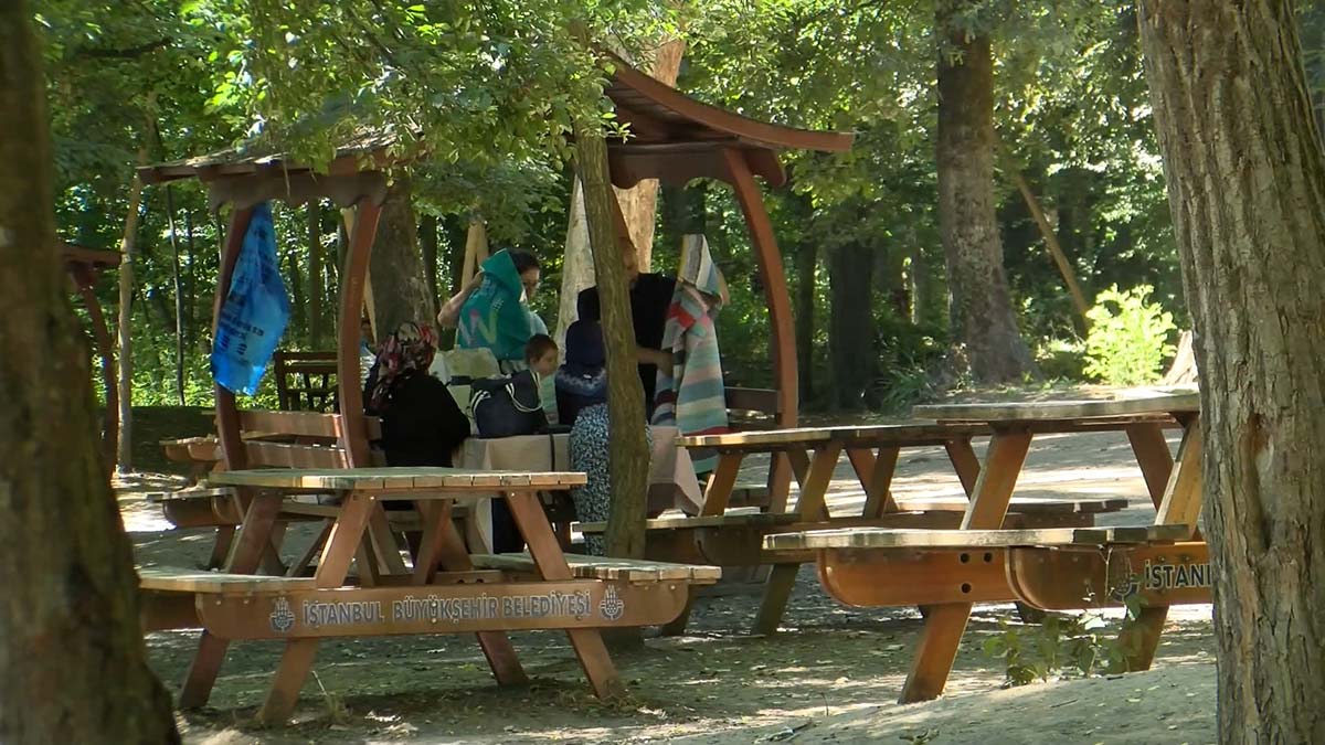 İstanbul'da ormanlarda ateş yakma yasağı başladı