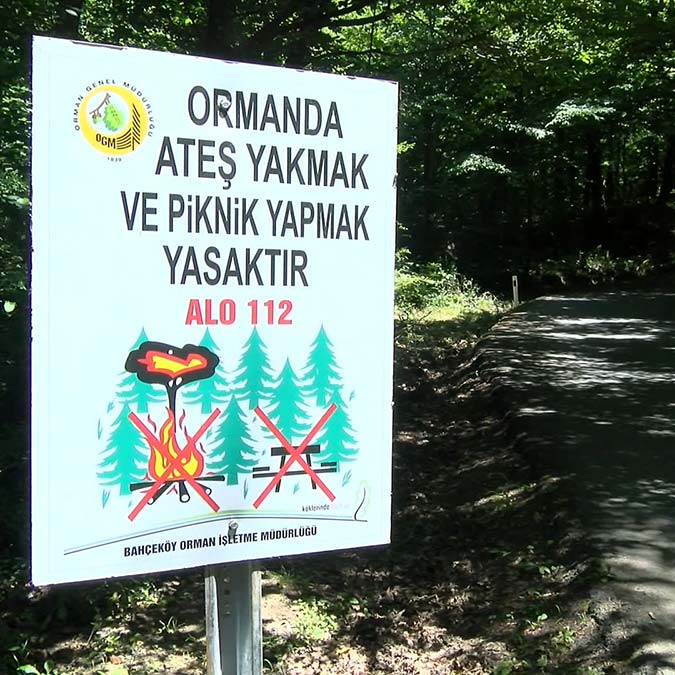 İstanbul'da ormanlarda ateş yakma yasağı başladı, Belgrad Ormanı'nda bazı aileler evden yiyeceğini getirerek piknik yaptı.