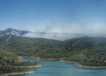 İzmir Seferihisar'da orman yangını