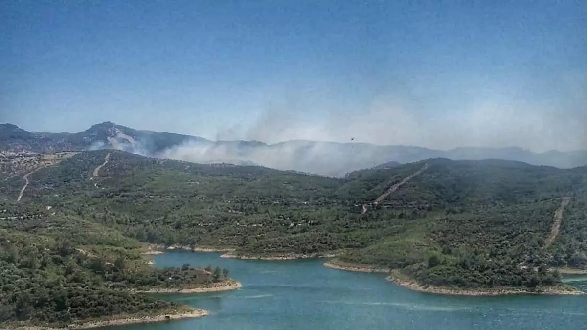 İzmir seferihisar'da orman yangını
