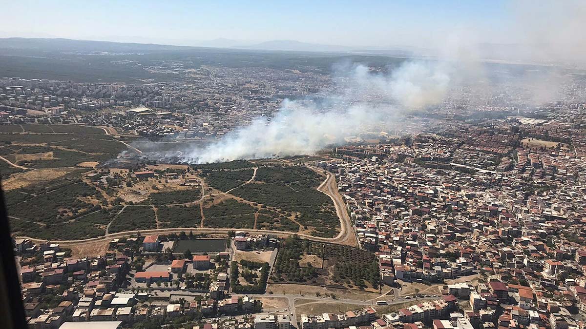 İzmir Seferihisar'da orman yangını