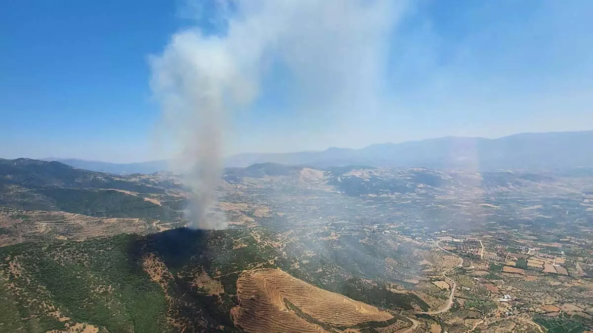 İzmir'de iki noktada orman yangını