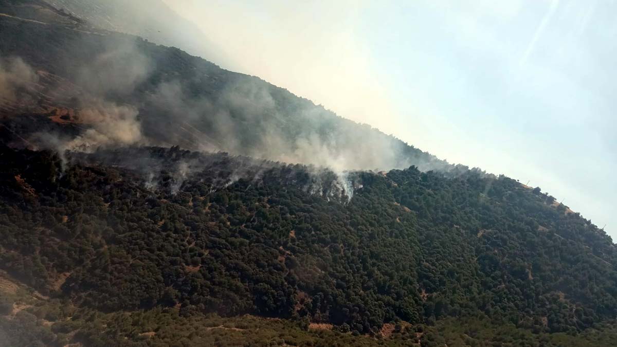 İzmir'de iki noktada orman yangını
