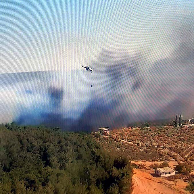 Gaziemir'de orman yangını; Yollar trafiğe kapatıldı