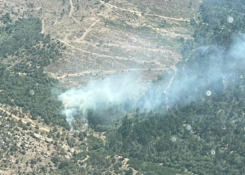 İzmir Bayındır'da orman yangını
