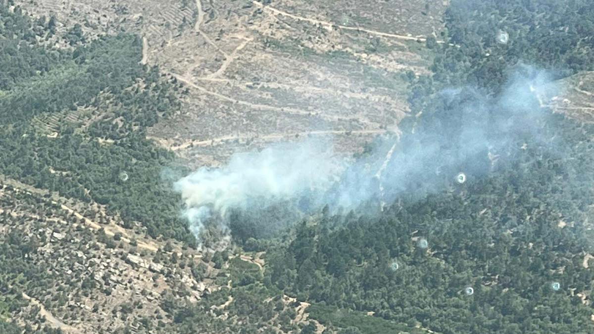 İzmir Bayındır'da orman yangını