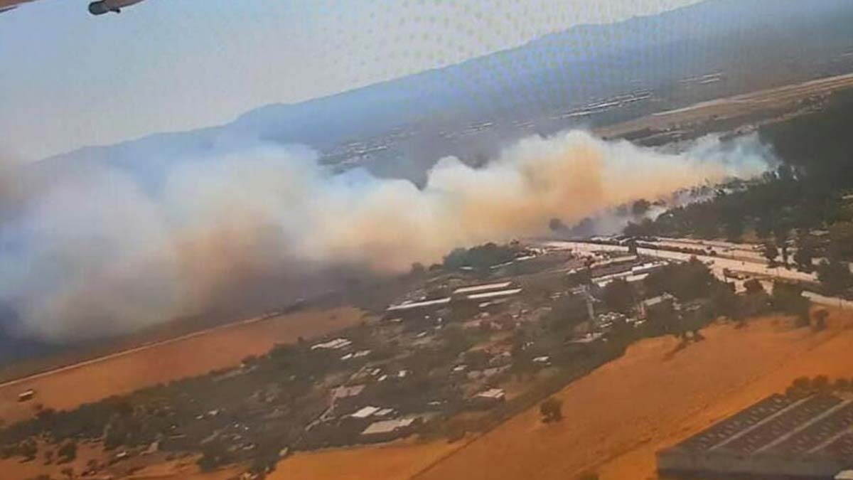 Gaziemir'de orman yangını; Yollar trafiğe kapatıldı