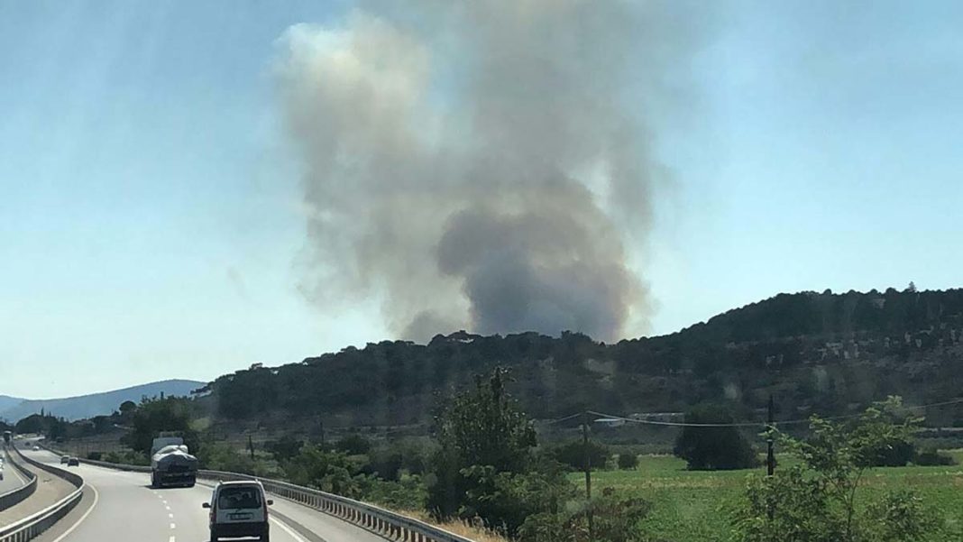 Dikili ve Bergama'da makilik alanda yangın