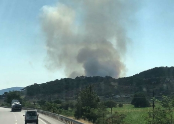 Dikili ve Bergama'da makilik alanda yangın