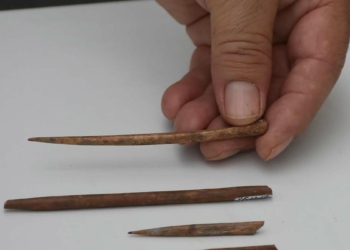Yeşilova Höyüğü'nde kemikten yapılmış iğneler bulundu