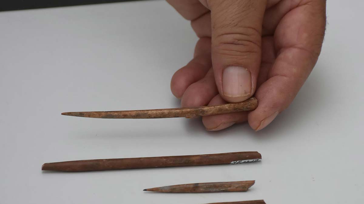 Yeşilova Höyüğü'nde kemikten yapılmış iğneler bulundu