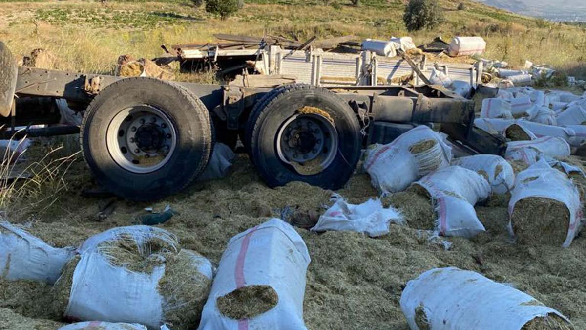 Saman yüklü kamyon şarampole devrildi; 3 ölü