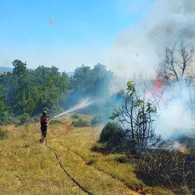 Keşan'da orman yangını; 2 hektar alan zarar gördü