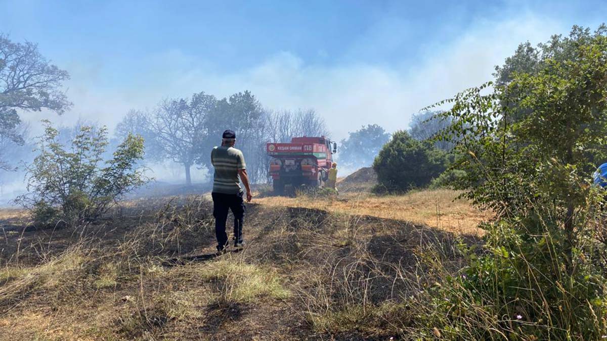 Keşan'da orman yangını; 2 hektar alan zarar gördü