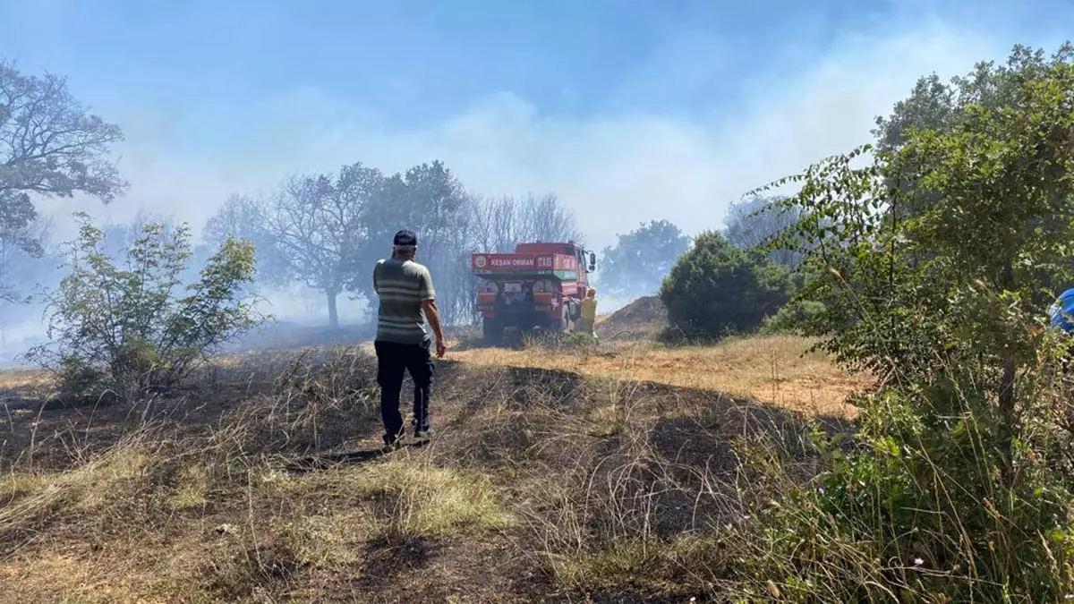 Keşan'da orman yangını; 2 hektar alan zarar gördü