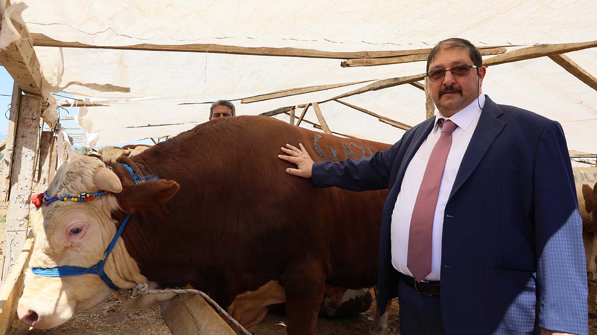 Türkiye Kasaplar, Besiciler Federasyonu Başkanı Yardımcı, "850 bin büyükbaş, 2,5 milyon küçükbaş kurbanlık satışa sunuldu, kurban pazarları ulaşım maliyetleri nedeniyle bu yıl küçüldü" dedi.