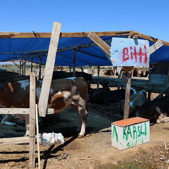 Kurban pazarları ulaşım maliyetlerinin kurbanı oldu