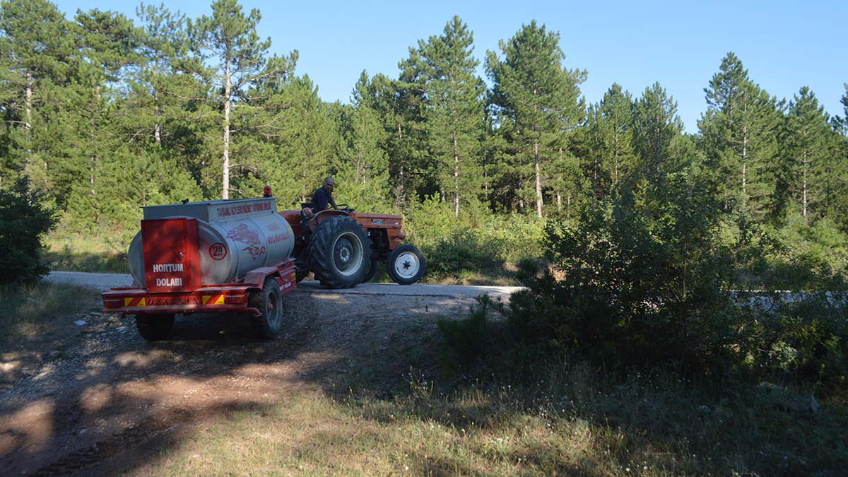 Kütahya'da orman yangını