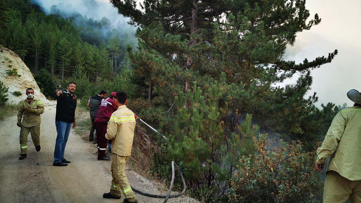 Kütahya'daki orman yangınında 2'nci gün