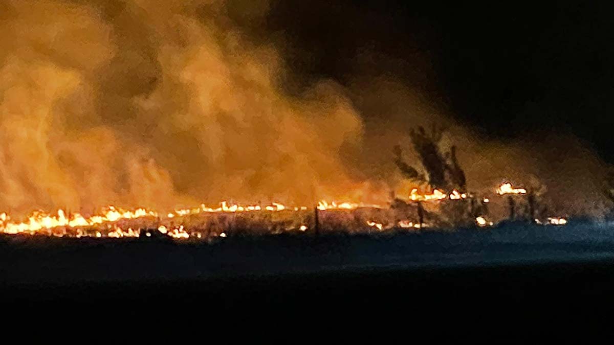 Leylek sürüsü anız yangınına neden oldu