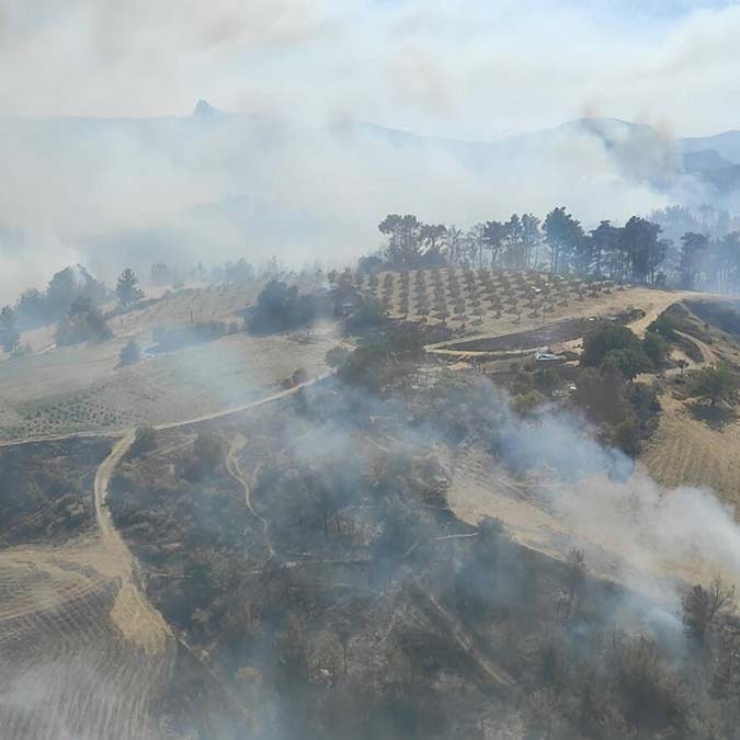 Manisa'da orman yangını çıktı