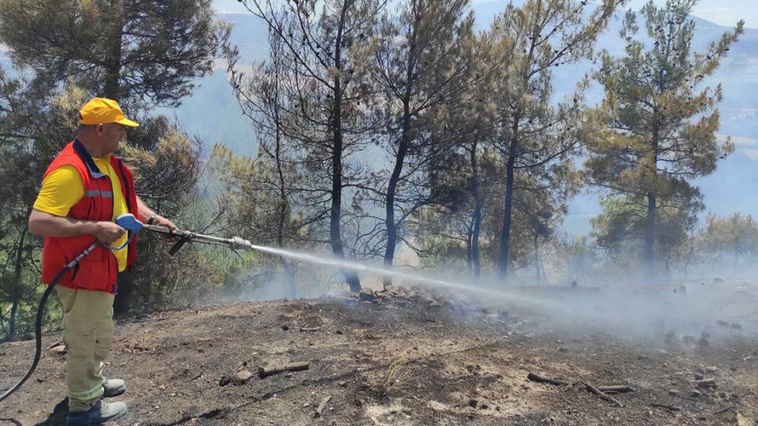 Manisa'da 2 hektar kızılçam ormanı yandı