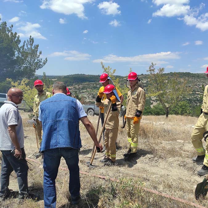 Manisa'da 2 hektar kızılçam ormanı yandı