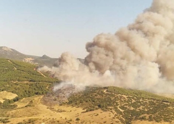 Yangın tarım arazisi ve ormana sıçradı