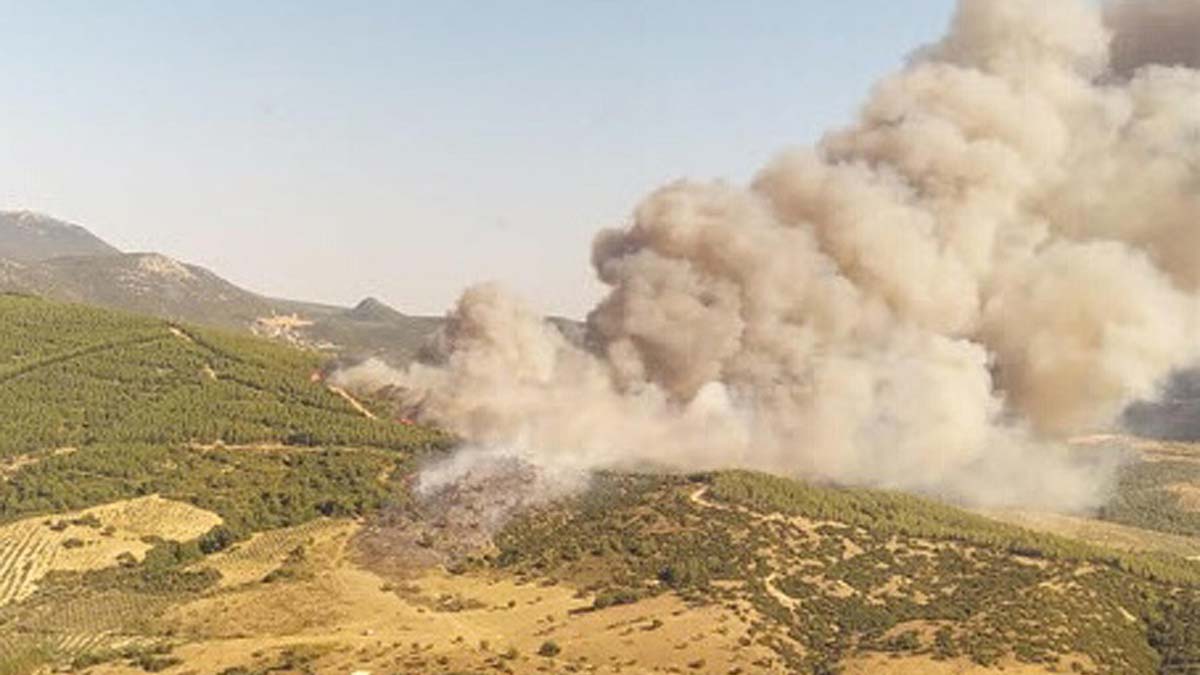 Yangın tarım arazisi ve ormana sıçradı