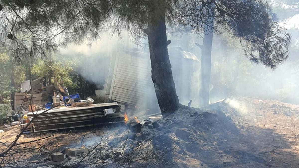 Manisa'da orman yangını