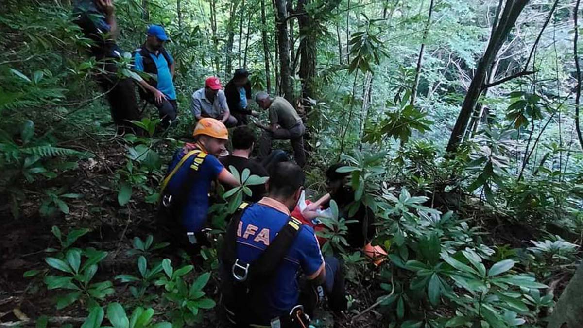 Mantar toplarken dere yatağına düştü