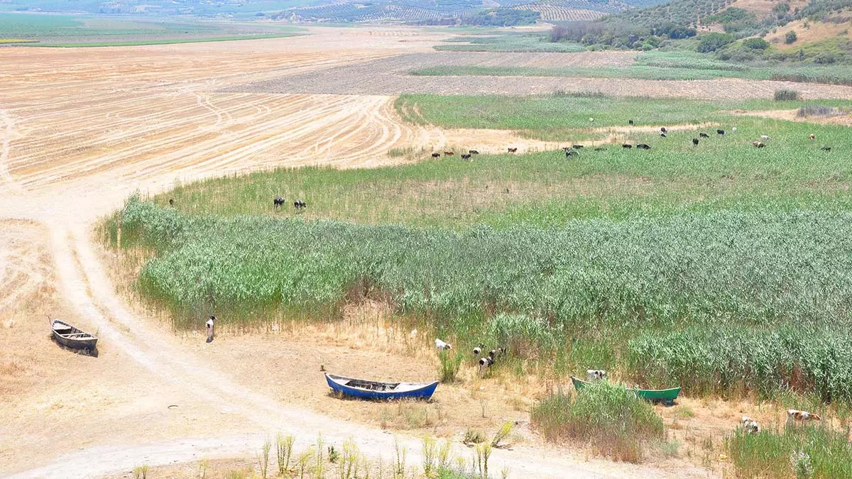 Marmara gölü üzerinde arazi savaşları başladı