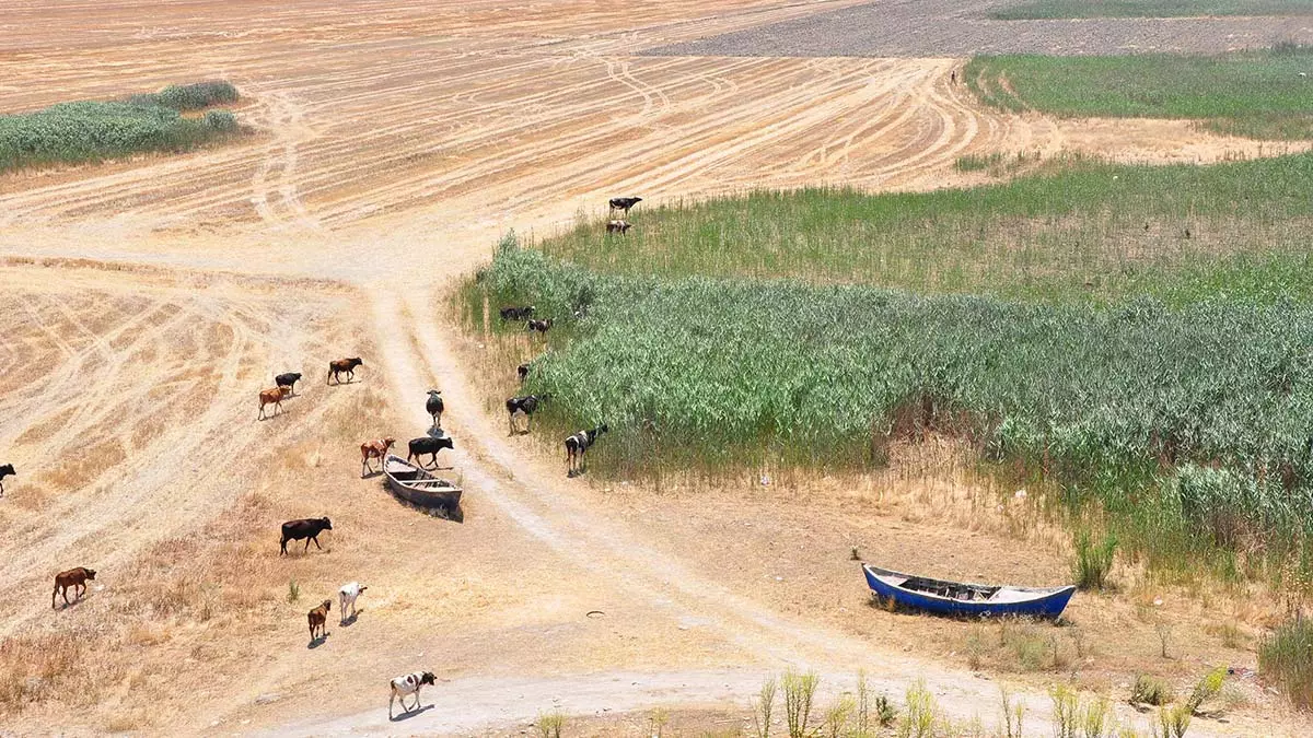 Marmara golunu kurtaracak proje aciklandi 2281 dhaphoto1 - öne çıkan - haberton