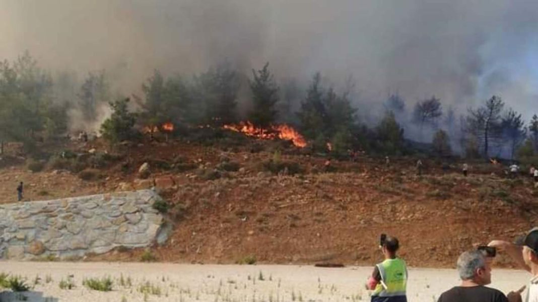Mersin'de makilikte orman yangını çıktı