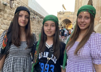 Midyat Kurban Bayramı'nda akına uğradı