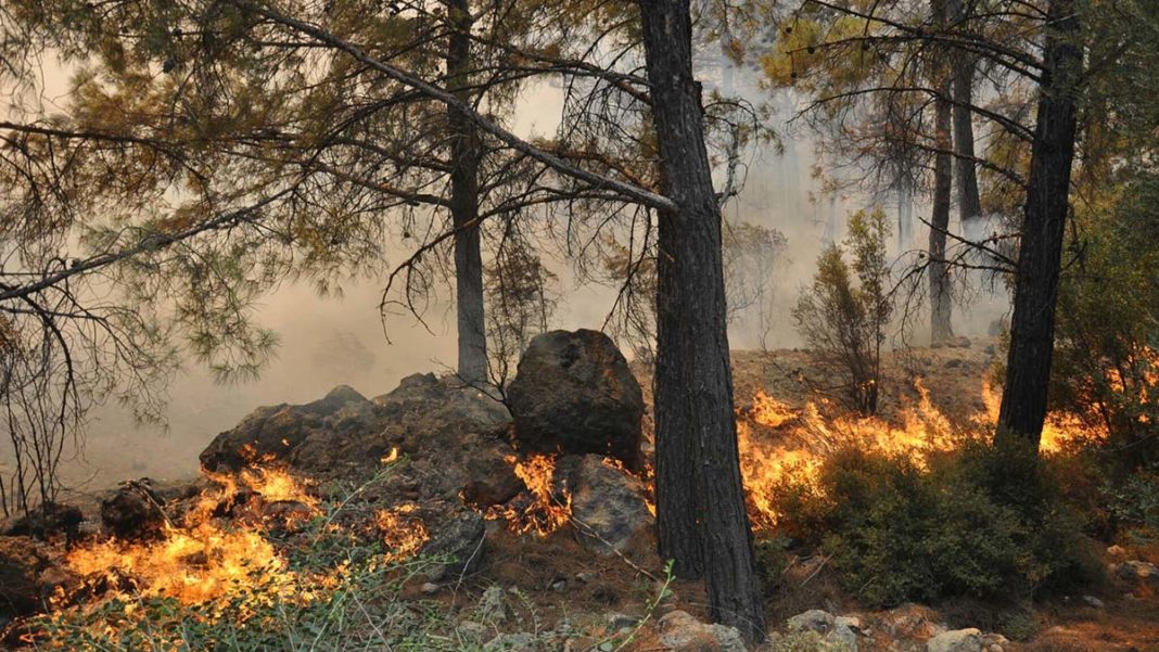 Valilikten orman yangınlarına karşı uyarı