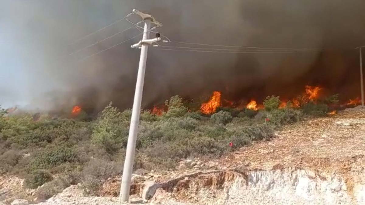Muğla Milas yanıyor