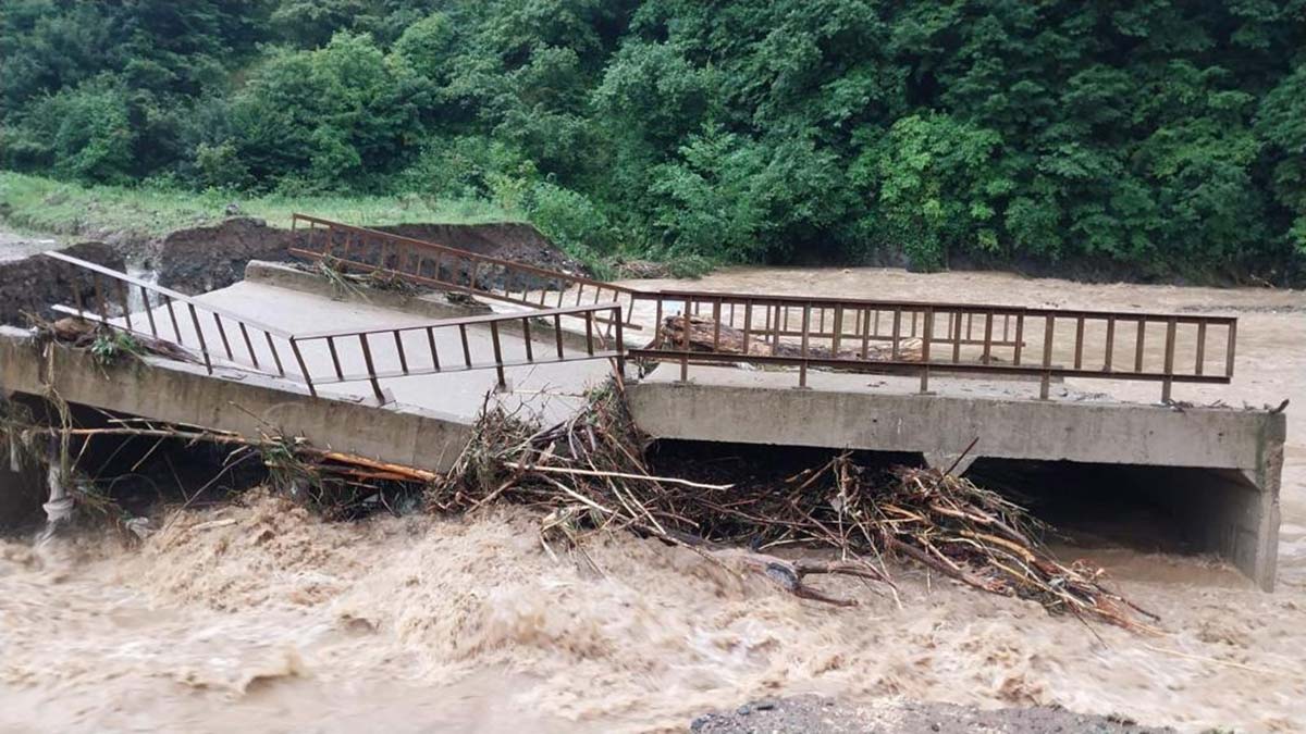 Ordu'da sel ve heyelan; 2 köprü yıkıldı