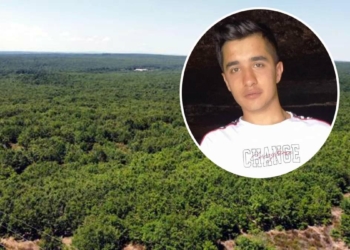 Ormanda kaybolan Şehmus sağ olarak bulundu