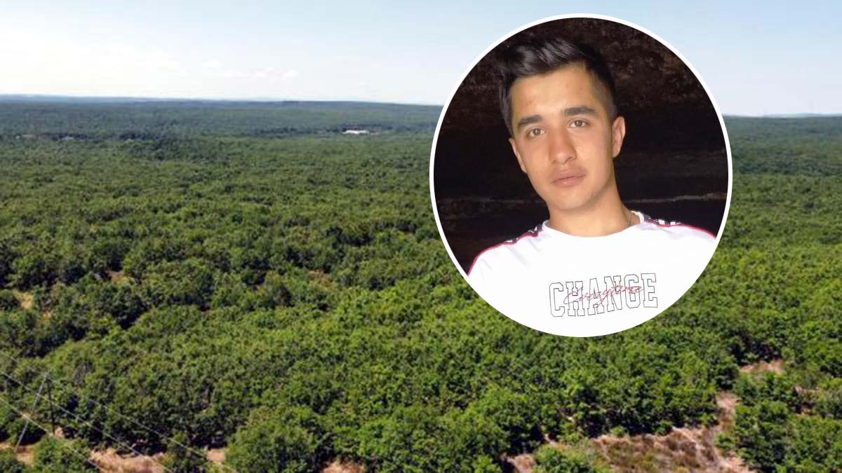 Ormanda kaybolan Şehmus sağ olarak bulundu