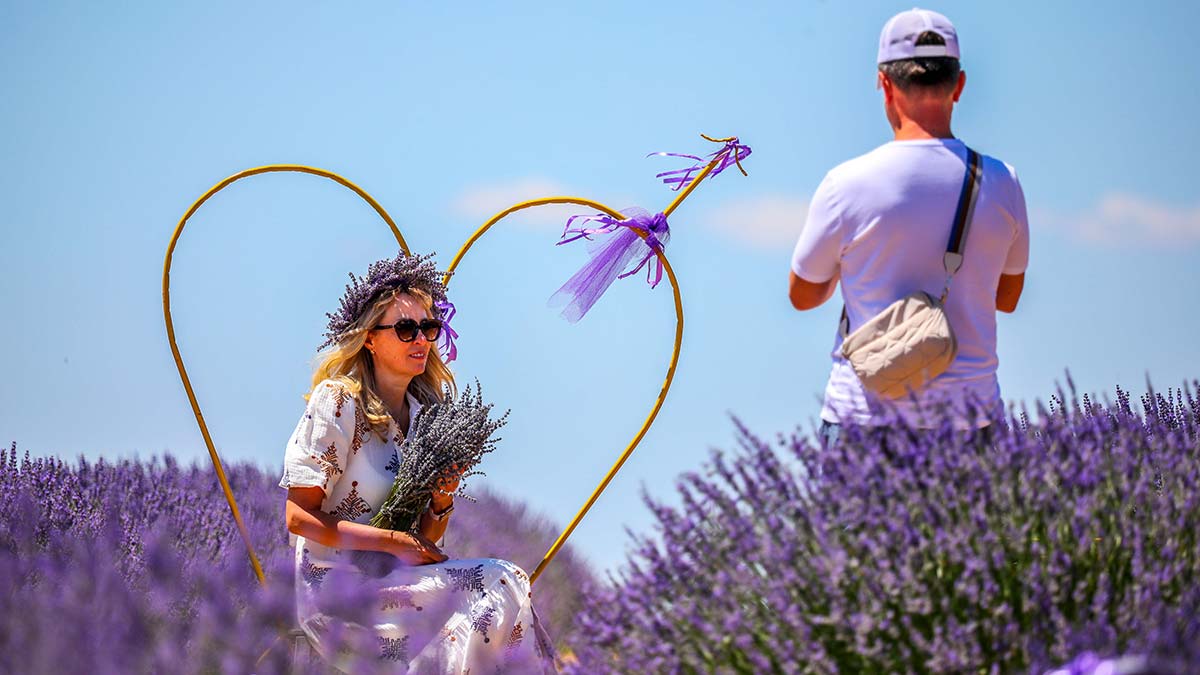 Fransa'dan getirilerek Isparta'nın Keçiborlu ilçesine bağlı Kuyucak köyüne dikilen, ilk yıllarda 'Ota kim bakar' denilen lavanta bahçeleri, köy halkının gelir kapısı oldu.