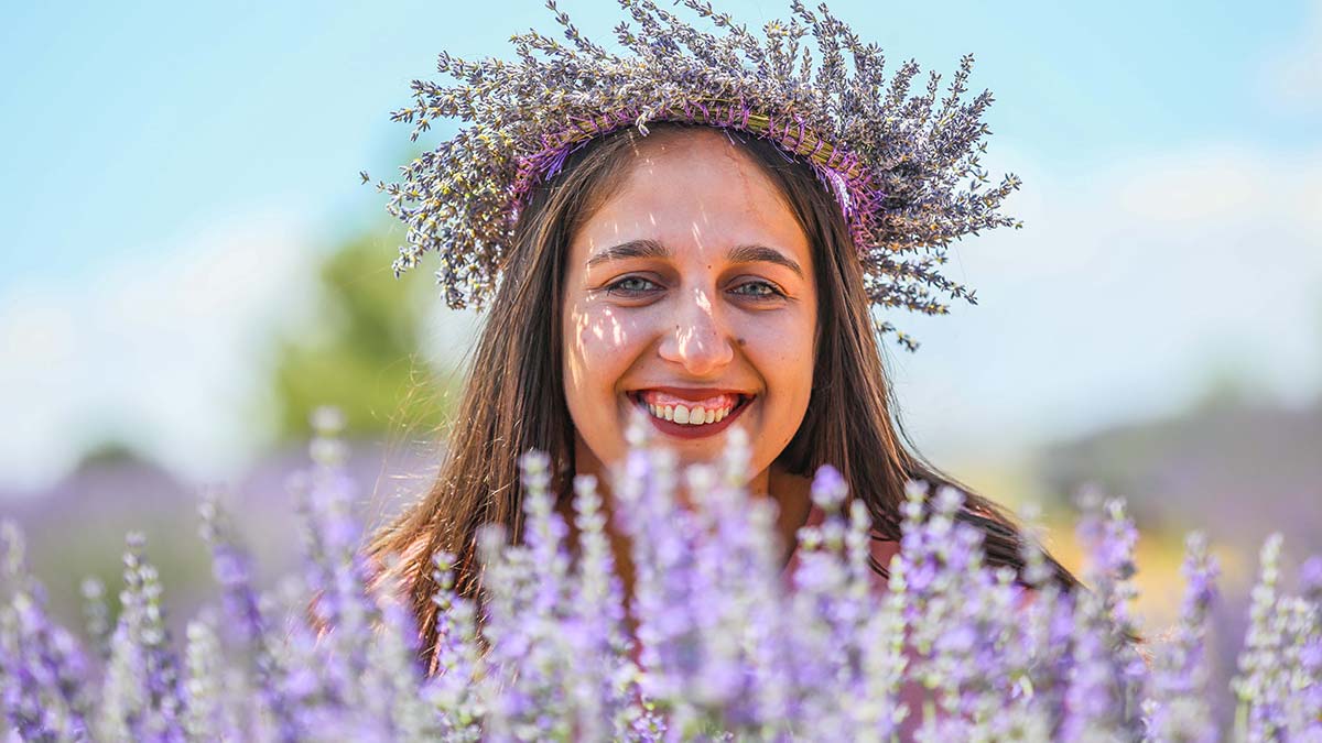 'Ota kim bakar' denilen lavanta bahçeleri gelir kapısı oldu