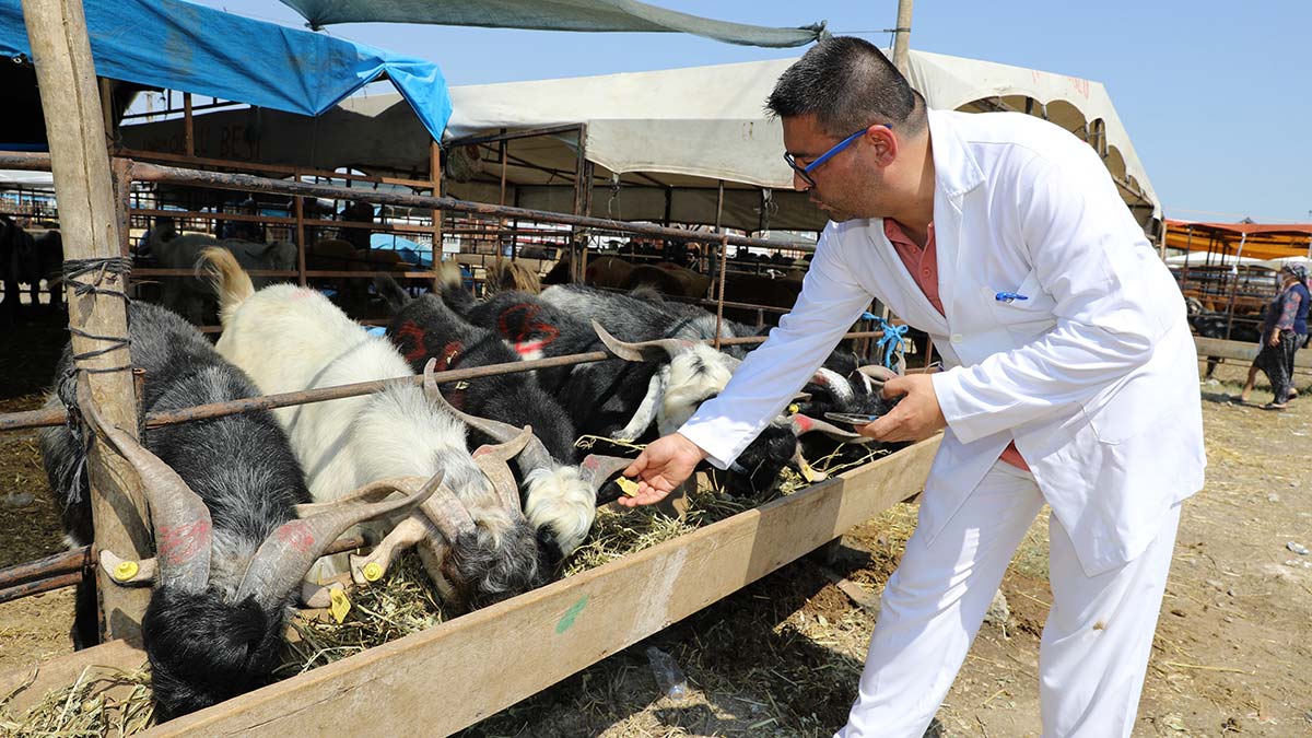 Keneyi Japon yapıştırıcısı ile çıkarmaya çalışanlar var