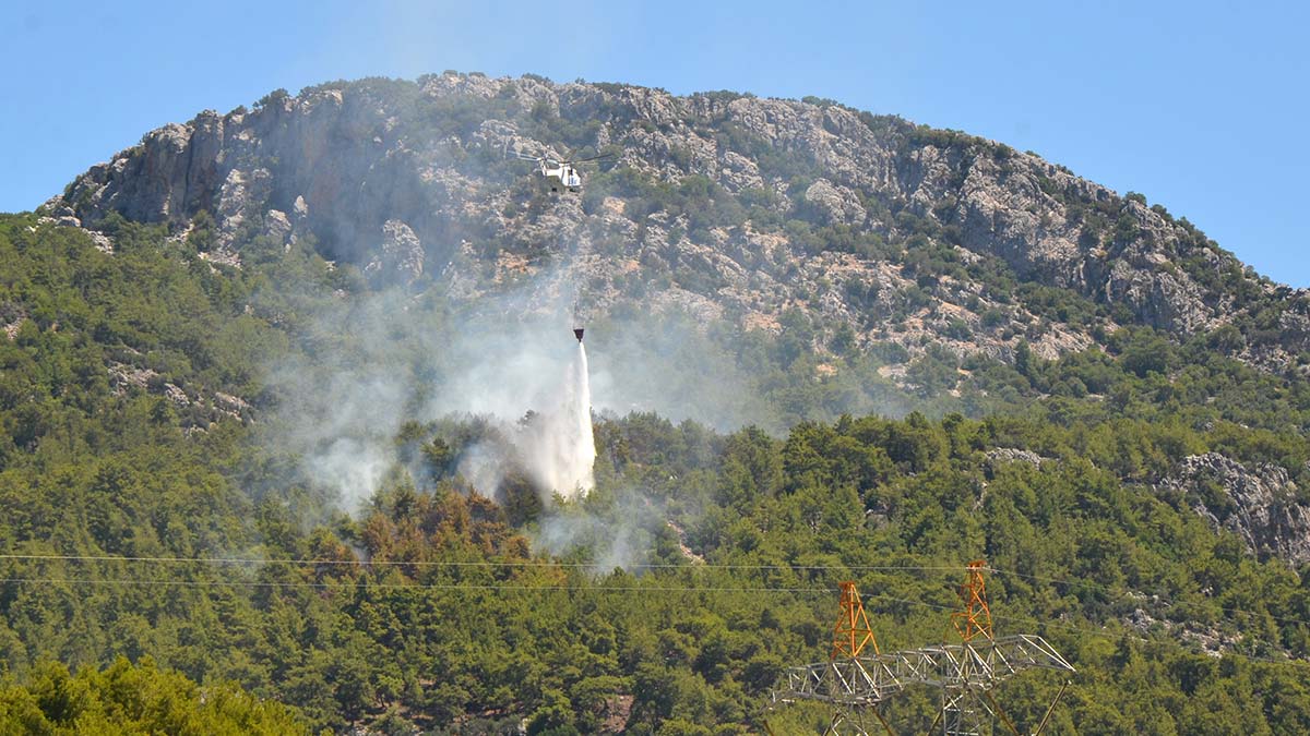 Serik'te orman yangını