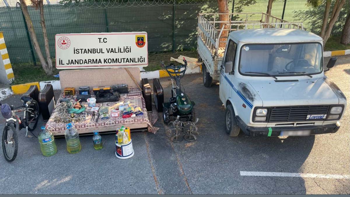 Yazlıklara dadanan hırsızlar yakalandı