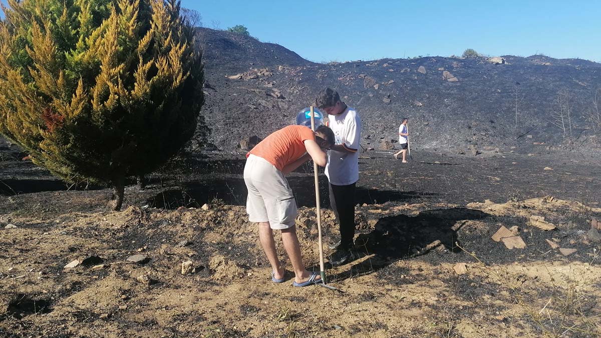 Silivri'de orman yangını
