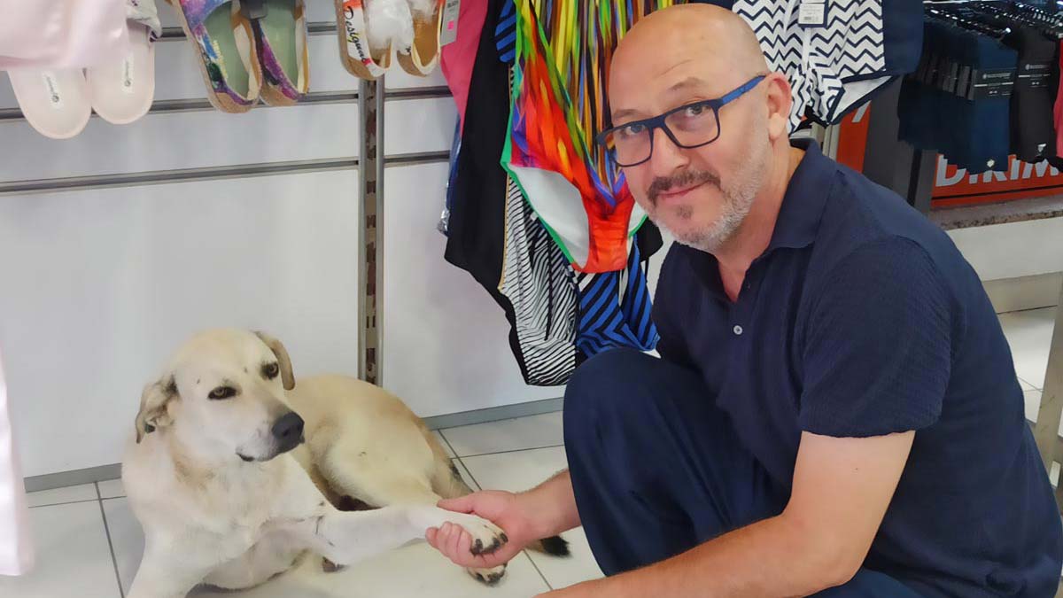 Sokak hayvanları bunaltıcı sıcaklardan etkilendi