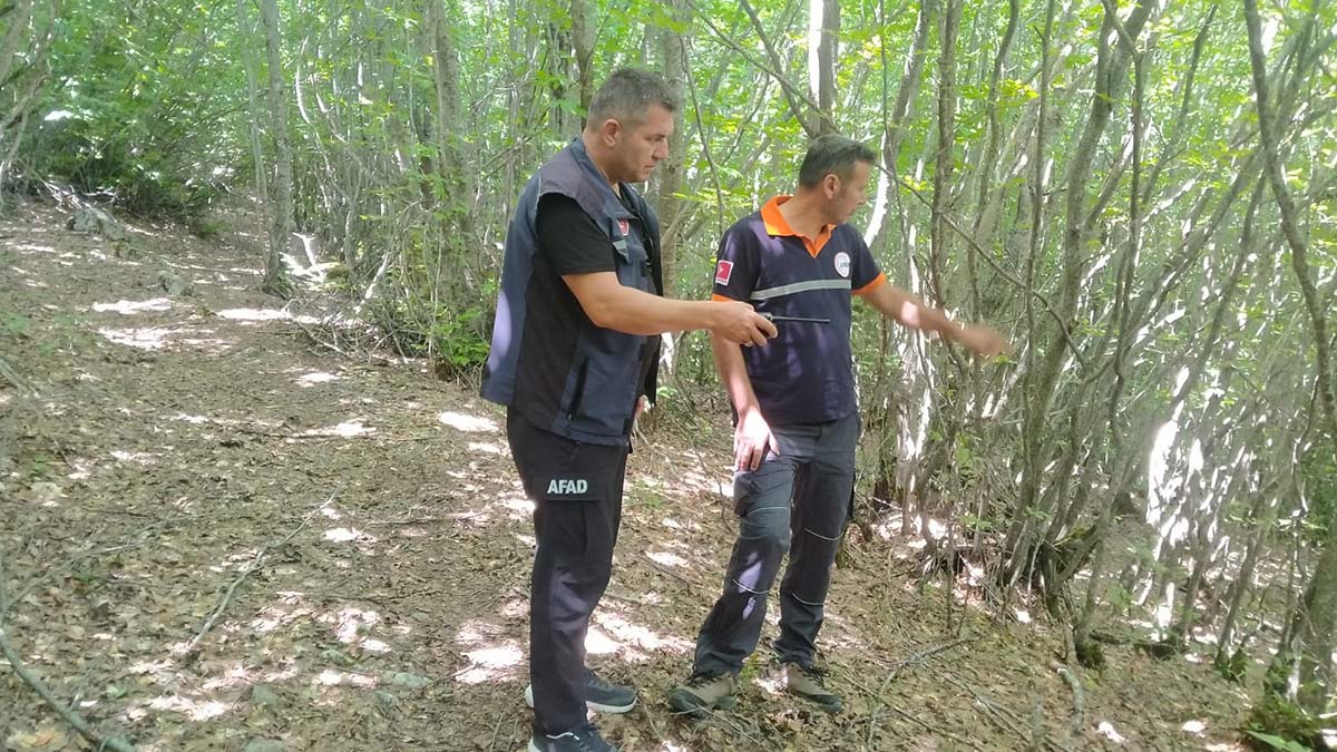 Sürü ile gittiği yayladan geri dönmedi