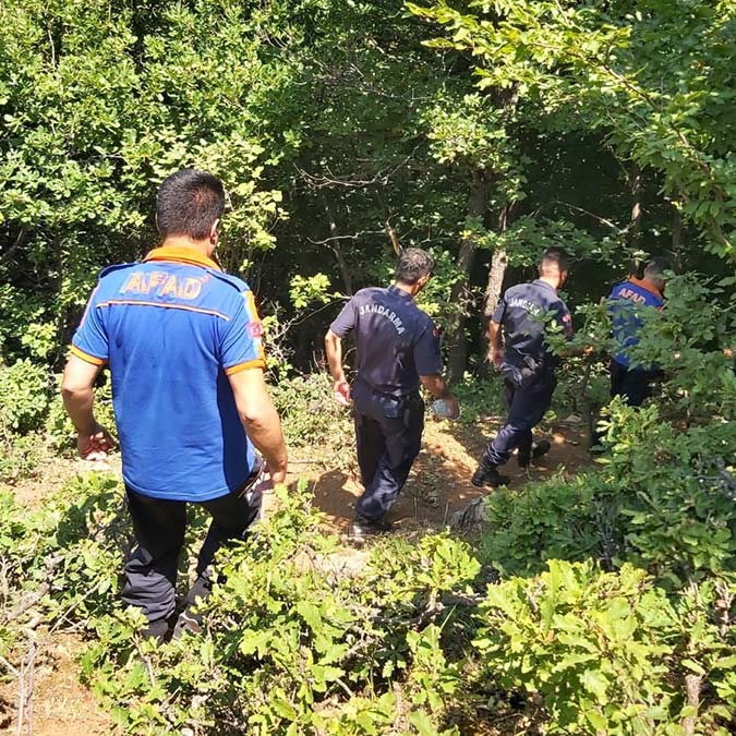 Sürü ile gittiği yayladan geri dönmedi